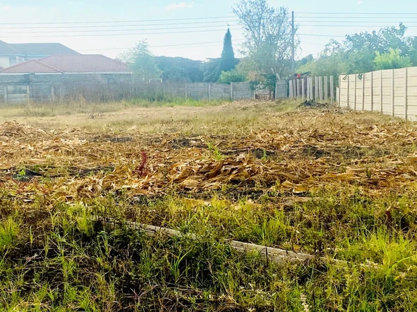 Stands & Residential Land