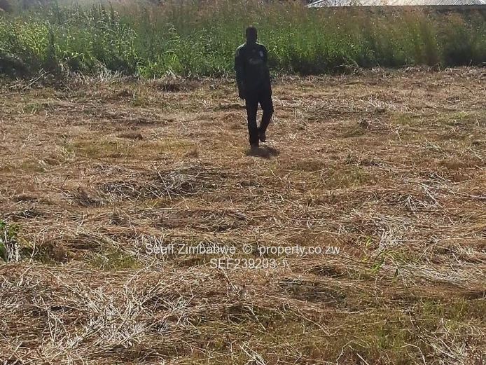 Prime 1,250m² Plot in Sandton Park — Gravel Road Access