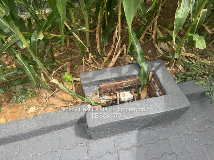 Beautiful 4-Bedroom House To Rent In New Zengeza 5