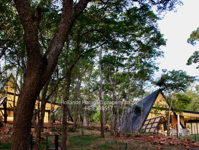 Luxury townhouse for rent