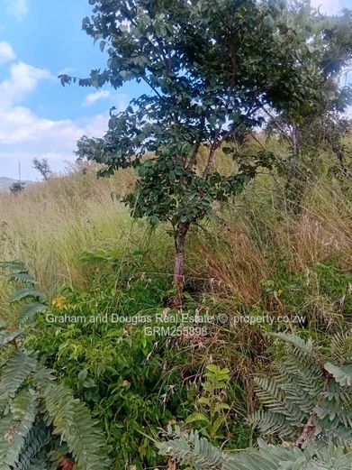 Mazowe commercial land for sale
