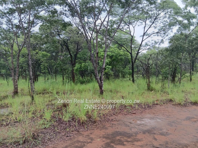 Ngezi plots Along Battlefields road for sale (Sole Mandate)