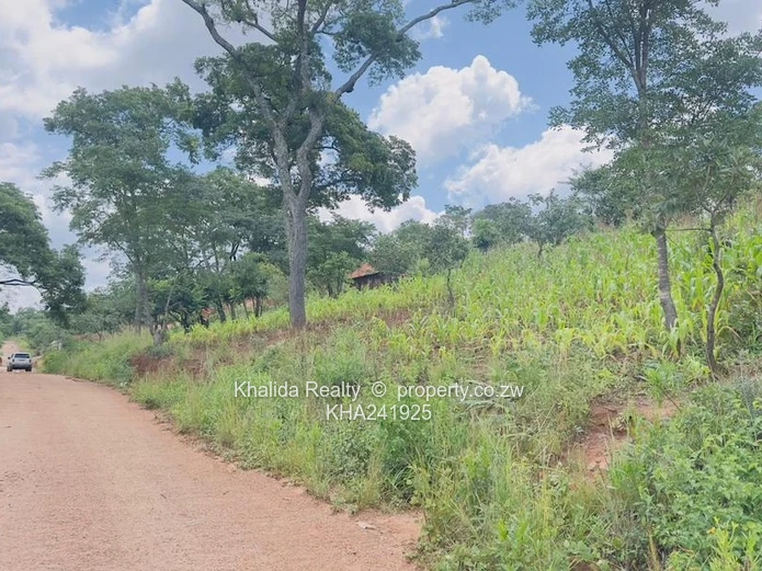 Gletwin Stand for Sale 