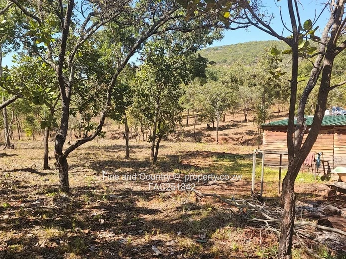 Peaceful Country Retreat in Christon Bank | Mashonaland Central