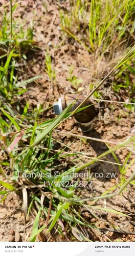 Nyabira Pearl Estate Stand For Sale 