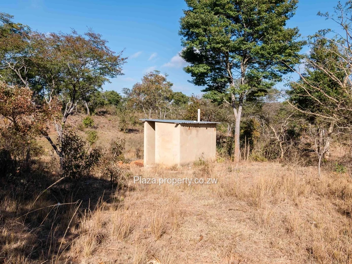 Marondera Prime 29-Hectare Farm – An Outstanding Investment Opportunity