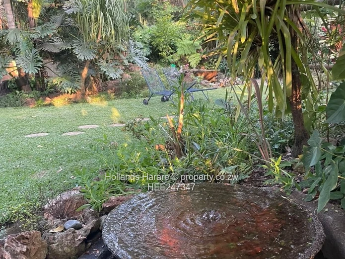 Incredible property in Glen Lorne