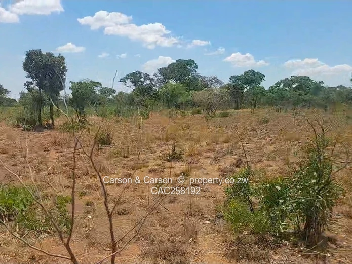 Harare Chinhoyi Road Frontage