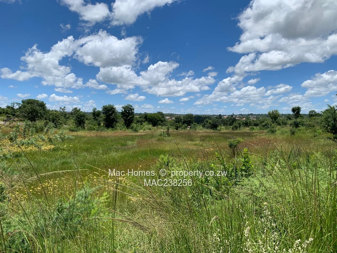 Rusape Land For Sale (Sole Mandate)