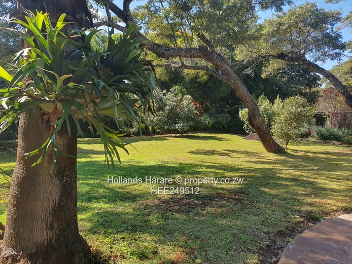 Neat property in great location