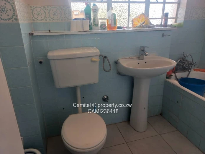 Avenues 3-Bed Garden Flat - Paved Drive, Lush Gardent at endernbroug 