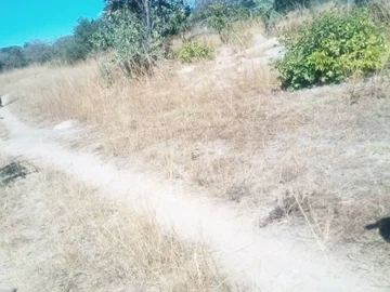 Farm & Agricultural Land