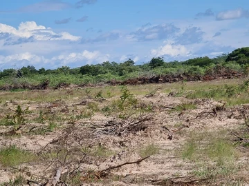 Farm & Agricultural Land