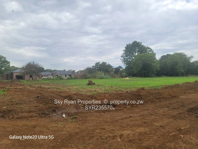 Marlborough Adlyn Stands For Sale