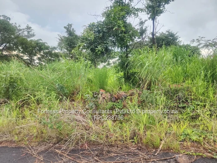 Educational Institution Land