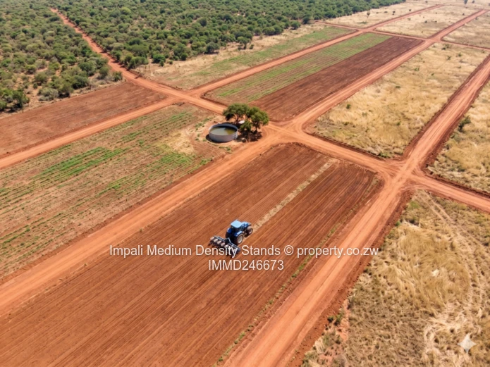 Introducing – “Impali Medium Density Stands