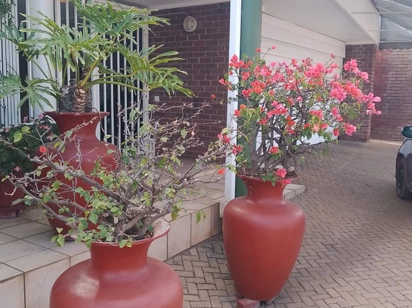 3 Bedroom Flat & Apartment