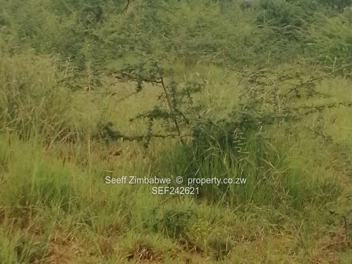 Rare Gem in Kensington, On Prime 8094 square meters virgin land in Bulawayo with Enormous Potential (Sole Mandate)