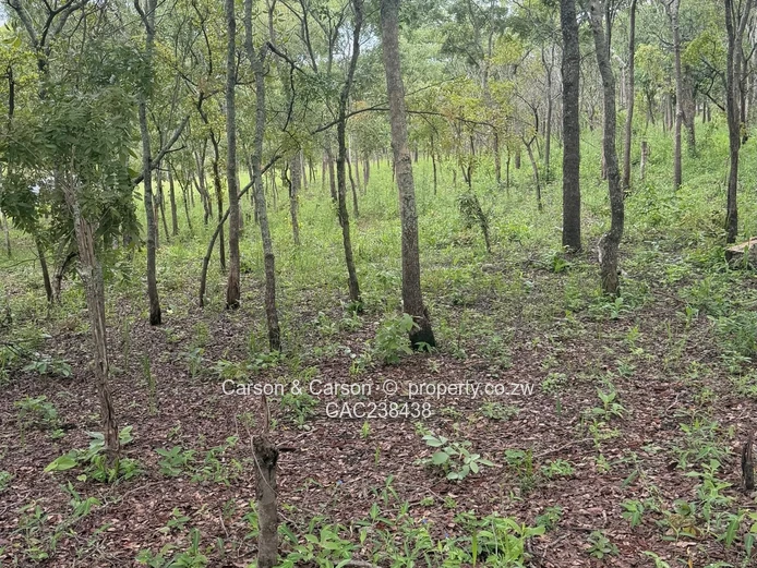 Vacant residential stand for sale in Umwinsidale 