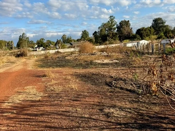 Stands & Residential Land