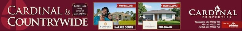 Newport Search Banner