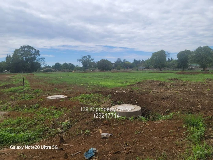 Marlborough Adylinn stands for sale