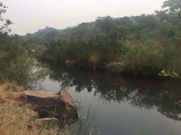 Farm & Agricultural Land