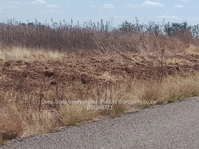 Westgate shine plus Stand For Sale 