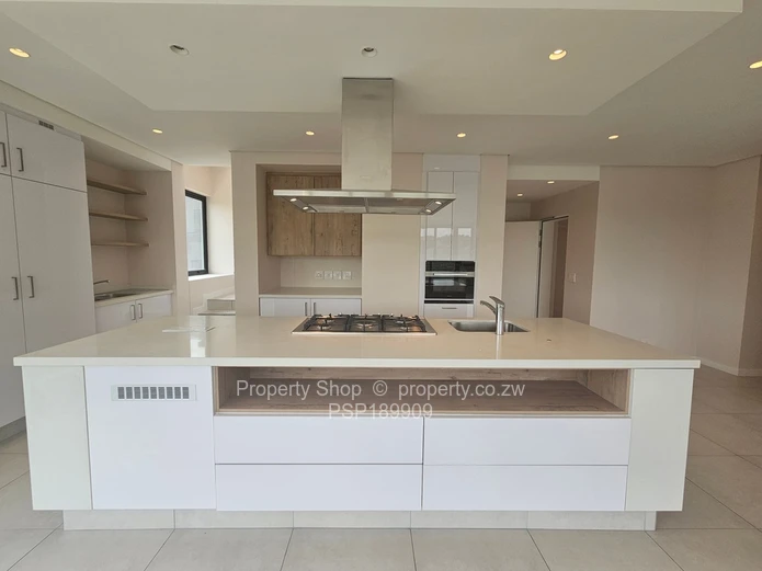 Brand new world class luxurious penthouse in Sandton. 