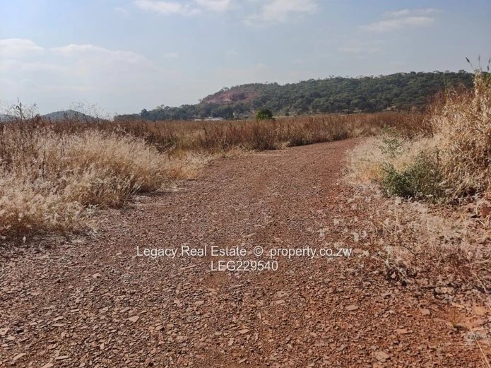 Spitzkop Stands for Sale