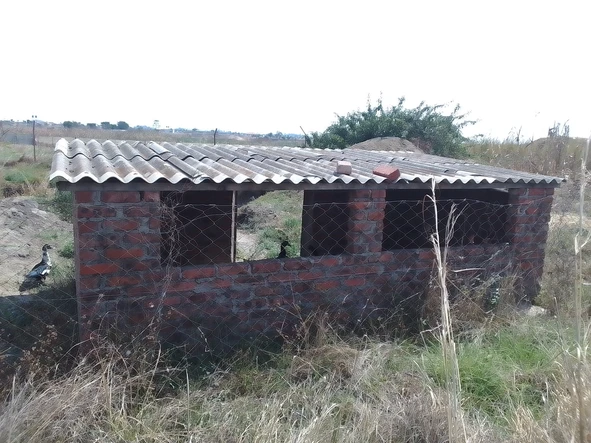 Farm & Agricultural Land