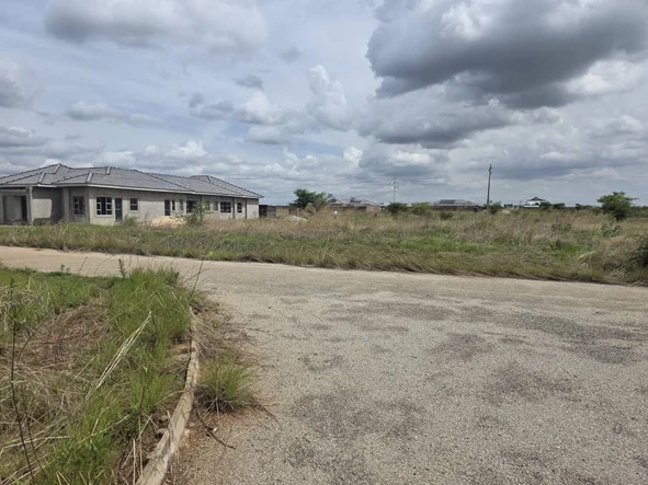 Stands & Residential Land