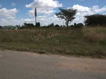 Stands & Residential Land