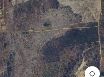 Farm & Agricultural Land