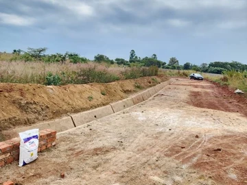 Stands & Residential Land