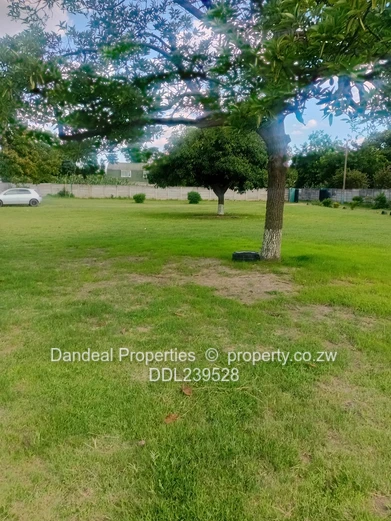 Hatifield-St Andrews Road Near Airport Round About