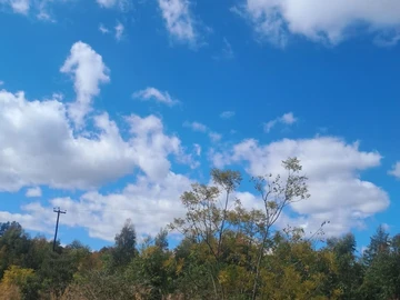Commercial & Industrial Land