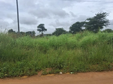 Commercial & Industrial Land