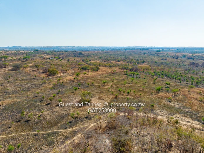 A Choice Of Two Farms - Banket / Rafingora