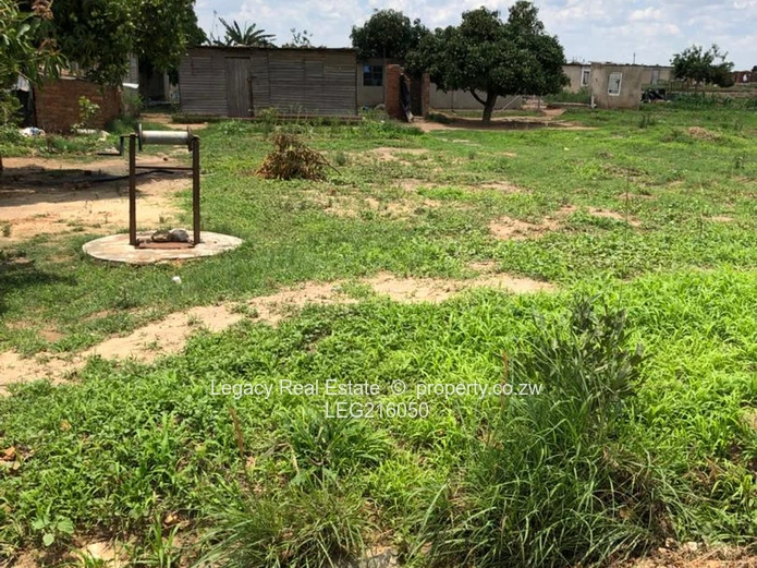 Nyabira Stand for Sale