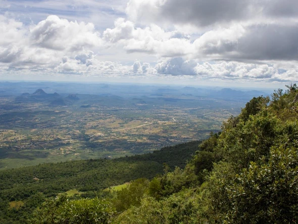 Commercial & Industrial Land