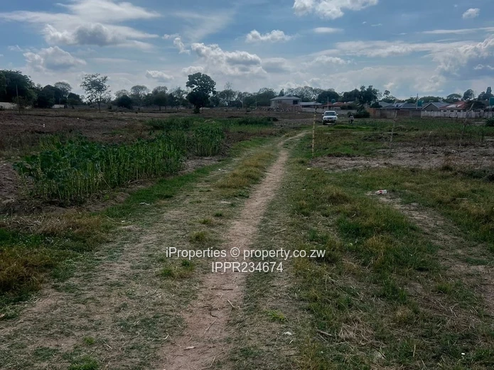 6-Hectare Investment Opportunity – Ideal for Cluster Development (Title Deeds Available)