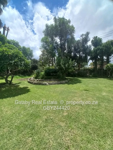 Available immediately 