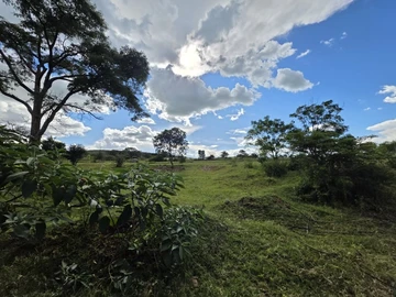 Farm & Agricultural Land