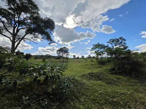 Farm & Agricultural Land