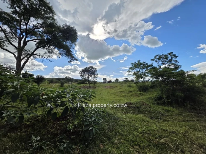 1.6 Hectare Agro-Residential Plot In Arcturus