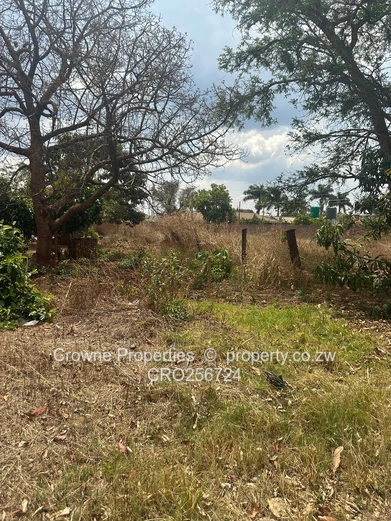 Residential Stand For Sale