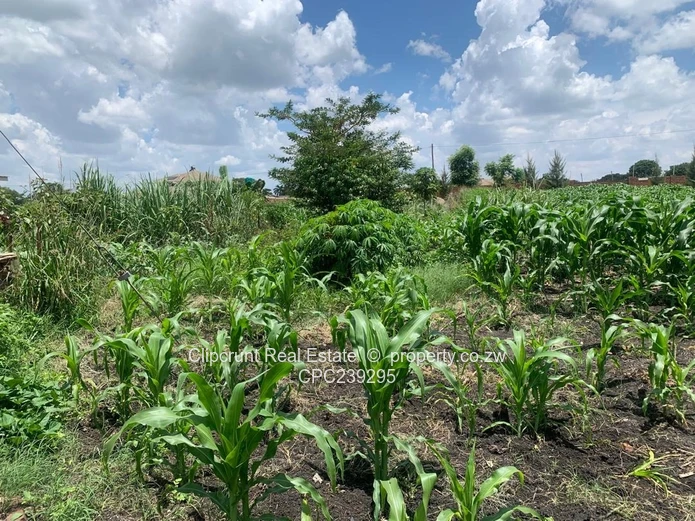 Beautiful stand for sale