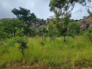 Commercial & Industrial Land