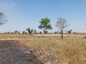 Farm & Agricultural Land